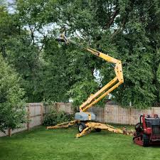 Best Lawn Grading and Leveling  in Flanders, NY