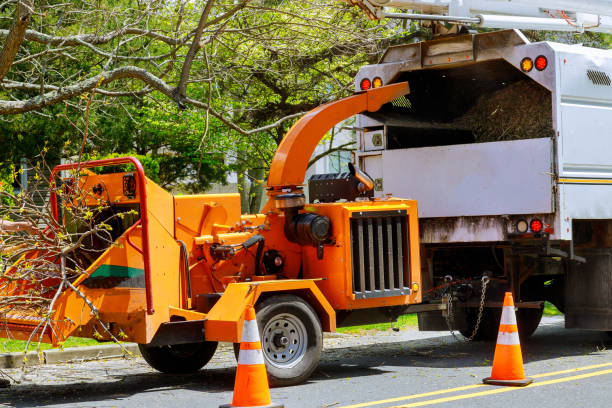 Best Firewood Processing and Delivery  in Flanders, NY