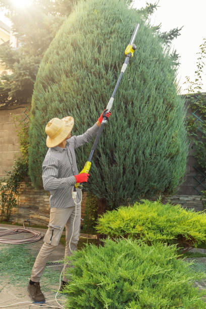 Best Lawn Watering Services  in Flanders, NY